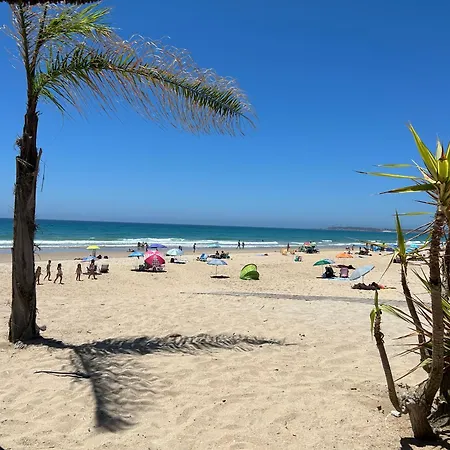 Antonio Fernandez Playa *