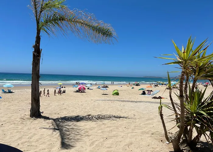 Antonio Fernandez Playa *